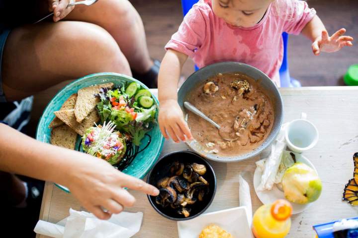 Daytime Meals Frankston