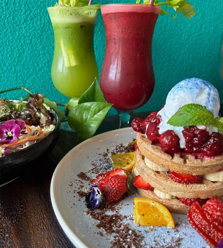 Daytime Meals Frankston